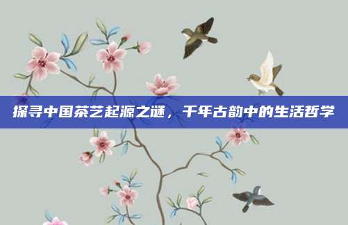 探寻中国茶艺起源之谜，千年古韵中的生活哲学