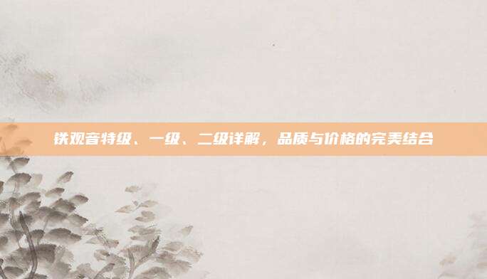 铁观音特级、一级、二级详解，品质与价格的完美结合
