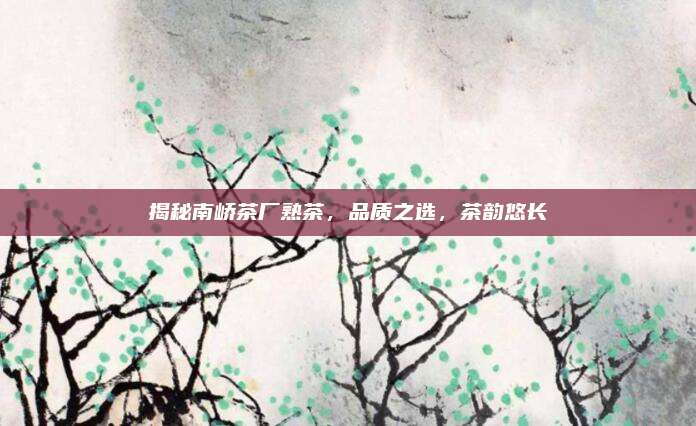 揭秘南峤茶厂熟茶，品质之选，茶韵悠长