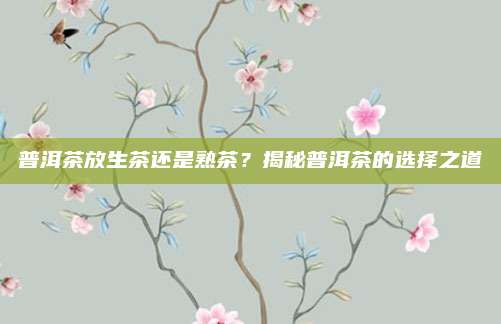 普洱茶放生茶还是熟茶？揭秘普洱茶的选择之道