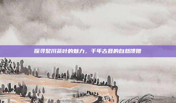 探寻黎川茶叶的魅力，千年古县的自然馈赠