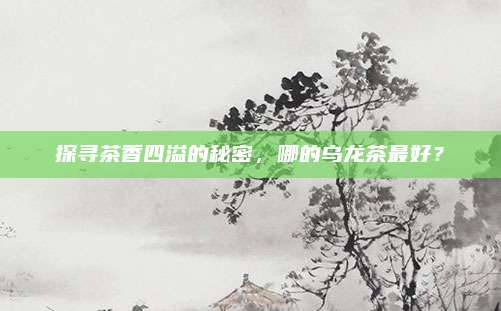 探寻茶香四溢的秘密，哪的乌龙茶最好？