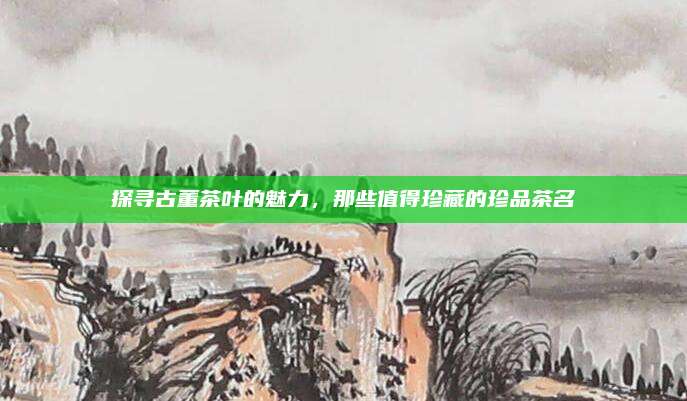 探寻古董茶叶的魅力，那些值得珍藏的珍品茶名