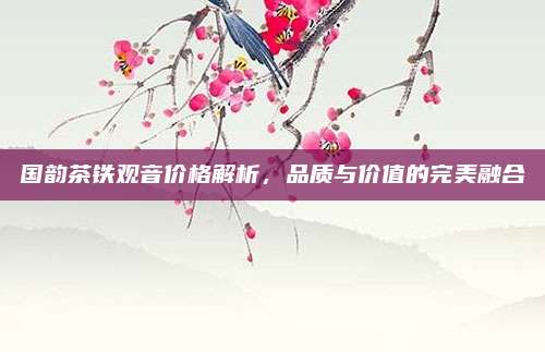 国韵茶铁观音价格解析，品质与价值的完美融合