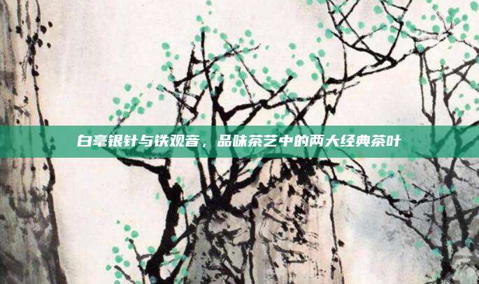 白毫银针与铁观音，品味茶艺中的两大经典茶叶