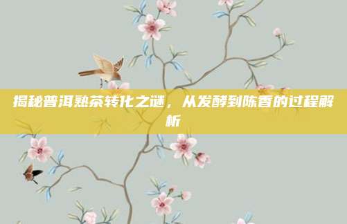 揭秘普洱熟茶转化之谜，从发酵到陈香的过程解析