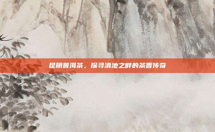 昆明普洱茶，探寻滇池之畔的茶香传奇