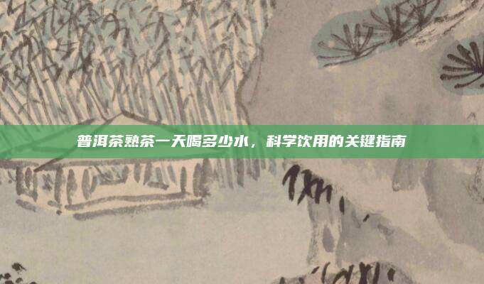 普洱茶熟茶一天喝多少水，科学饮用的关键指南