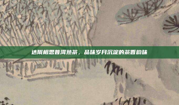 达陇相思普洱熟茶，品味岁月沉淀的茶香韵味