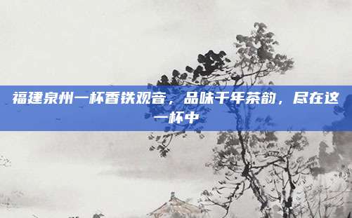 福建泉州一杯香铁观音，品味千年茶韵，尽在这一杯中