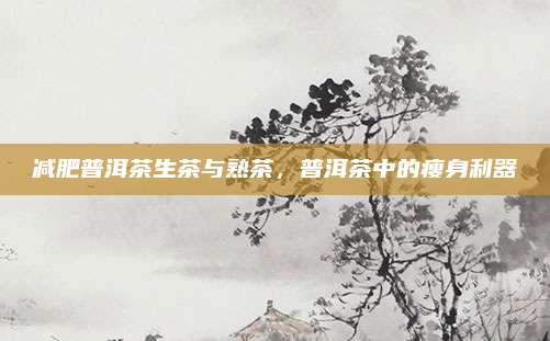 减肥普洱茶生茶与熟茶,普洱茶中的瘦身利器