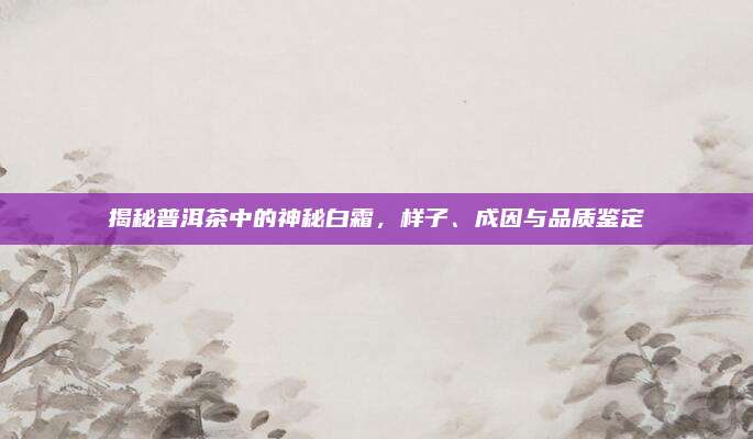 揭秘普洱茶中的神秘白霜,样子、成因与品质鉴定