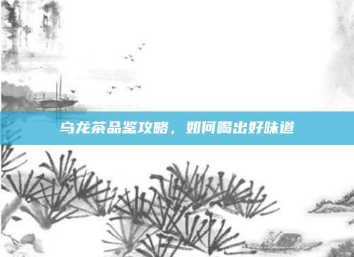 乌龙茶品鉴攻略,如何喝出好味道