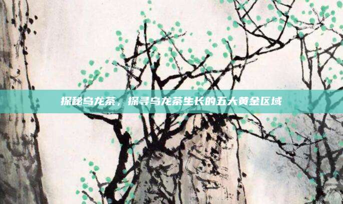探秘乌龙茶，探寻乌龙茶生长的五大黄金区域