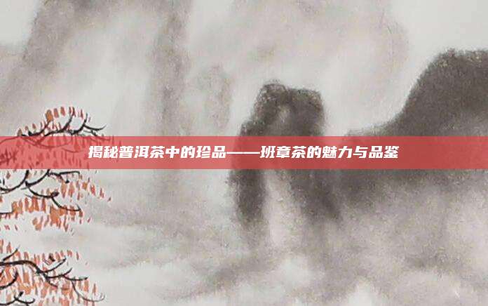 揭秘普洱茶中的珍品——班章茶的魅力与品鉴