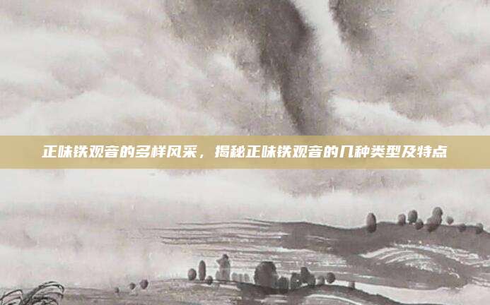 正味铁观音的多样风采，揭秘正味铁观音的几种类型及特点
