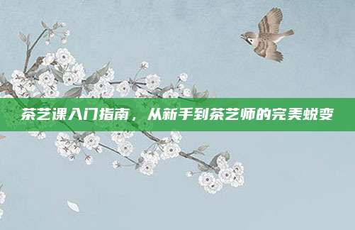 茶艺课入门指南，从新手到茶艺师的完美蜕变
