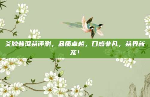 爻牌普洱茶评测，品质卓越，口感非凡，茶界新宠！