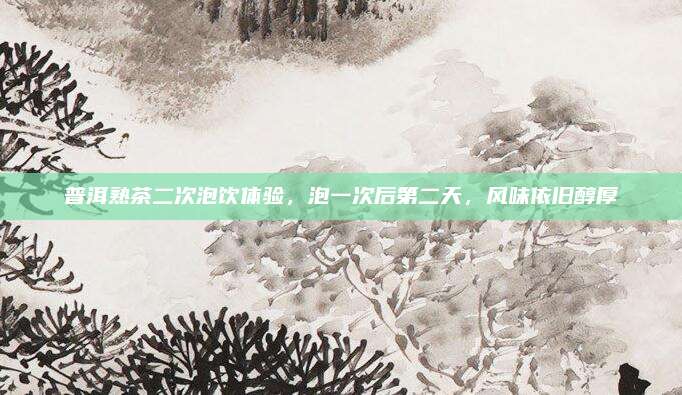 普洱熟茶二次泡饮体验，泡一次后第二天，风味依旧醇厚