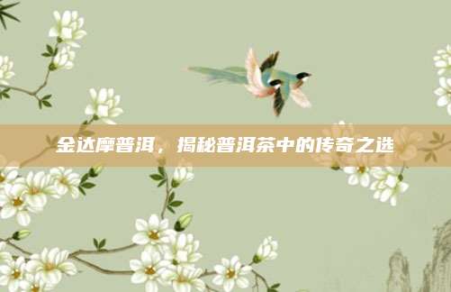 金达摩普洱，揭秘普洱茶中的传奇之选