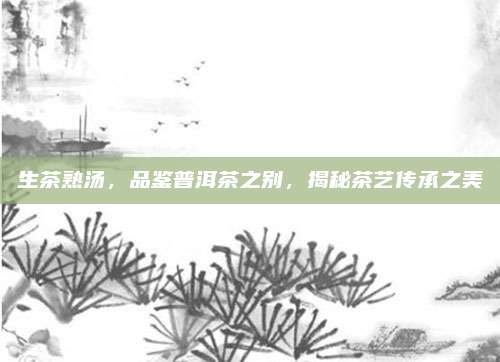 生茶熟汤，品鉴普洱茶之别，揭秘茶艺传承之美