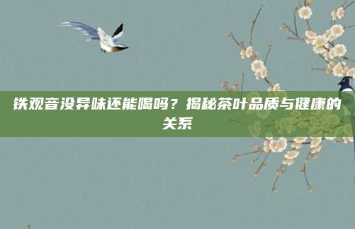 铁观音没异味还能喝吗？揭秘茶叶品质与健康的关系