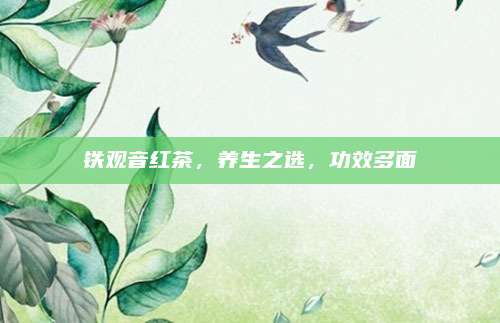 铁观音红茶，养生之选，功效多面