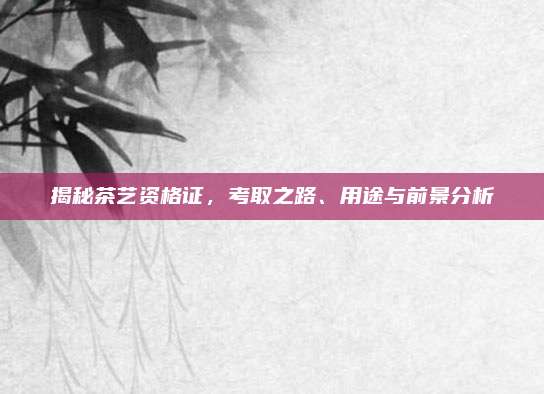 揭秘茶艺资格证，考取之路、用途与前景分析