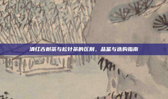 滇红古树茶与松针茶的区别，品鉴与选购指南