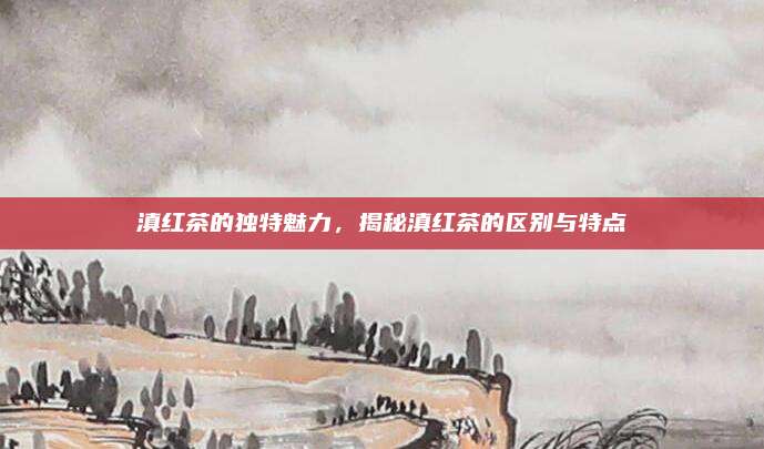 滇红茶的独特魅力，揭秘滇红茶的区别与特点