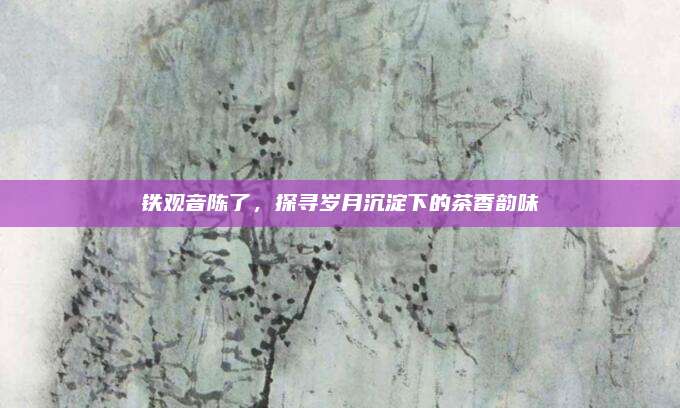 铁观音陈了，探寻岁月沉淀下的茶香韵味