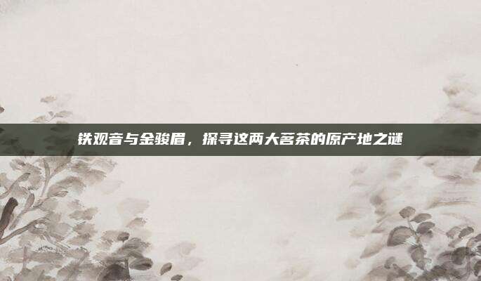 铁观音与金骏眉，探寻这两大茗茶的原产地之谜