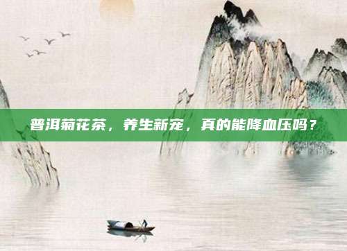 普洱菊花茶，养生新宠，真的能降血压吗？
