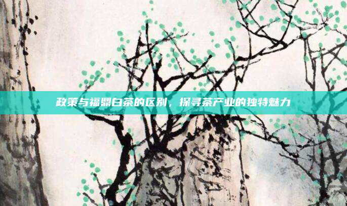 政策与福鼎白茶的区别，探寻茶产业的独特魅力