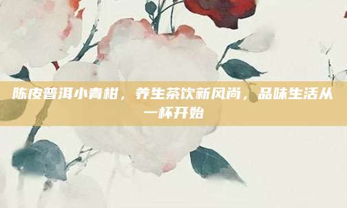 陈皮普洱小青柑，养生茶饮新风尚，品味生活从一杯开始