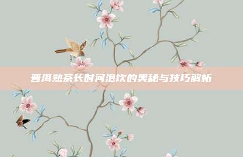 普洱熟茶长时间泡饮的奥秘与技巧解析
