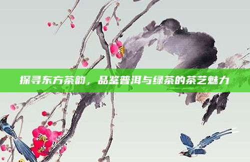探寻东方茶韵,品鉴普洱与绿茶的茶艺魅力
