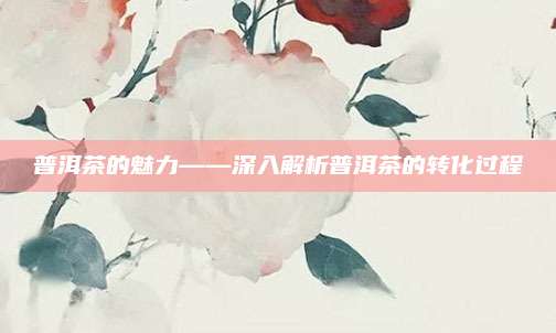 普洱茶的魅力——深入解析普洱茶的转化过程