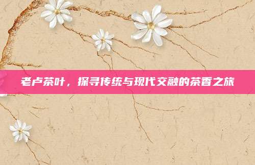 老卢茶叶，探寻传统与现代交融的茶香之旅
