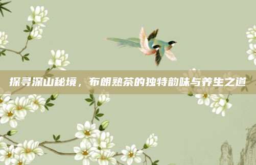 探寻深山秘境，布朗熟茶的独特韵味与养生之道