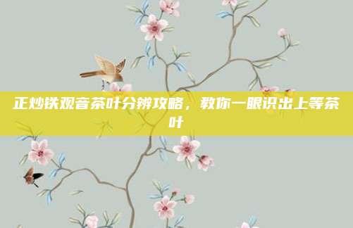 正炒铁观音茶叶分辨攻略，教你一眼识出上等茶叶