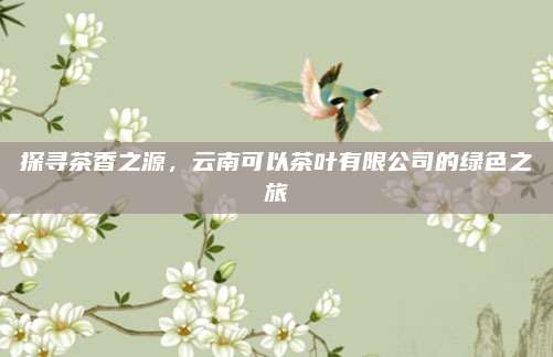 探寻茶香之源，云南可以茶叶有限公司的绿色之旅