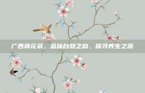 广西荷花茶，品味自然之韵，探寻养生之源