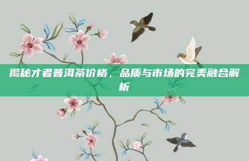 揭秘才者普洱茶价格，品质与市场的完美融合解析