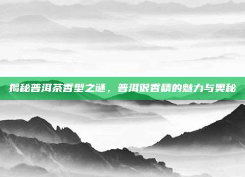 揭秘普洱茶香型之谜，普洱很香精的魅力与奥秘
