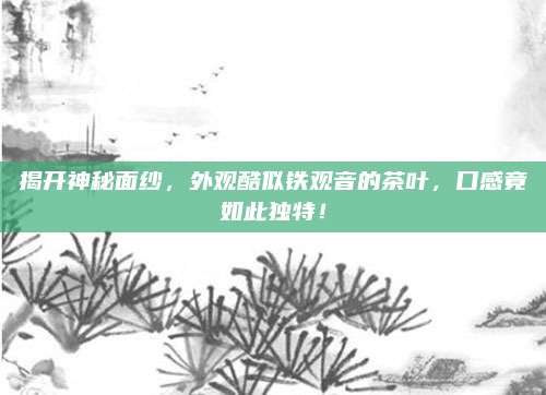 揭开神秘面纱，外观酷似铁观音的茶叶，口感竟如此独特！