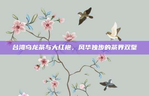 台湾乌龙茶与大红袍，风华独步的茶界双璧