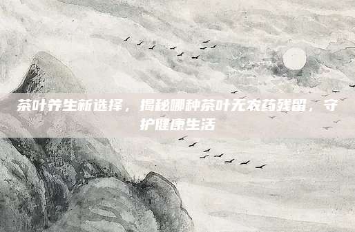 茶叶养生新选择，揭秘哪种茶叶无农药残留，守护健康生活