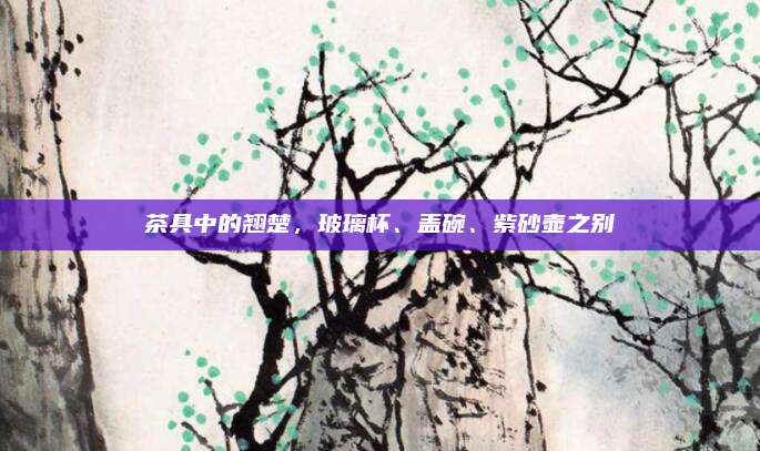 茶具中的翘楚，玻璃杯、盖碗、紫砂壶之别