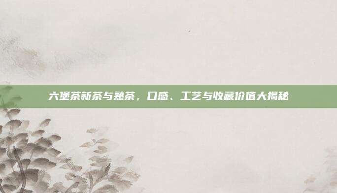 六堡茶新茶与熟茶，口感、工艺与收藏价值大揭秘